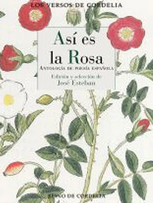 Así es la rosa