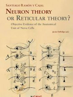 NEURON THEORY OR RETICULAR THEORY?