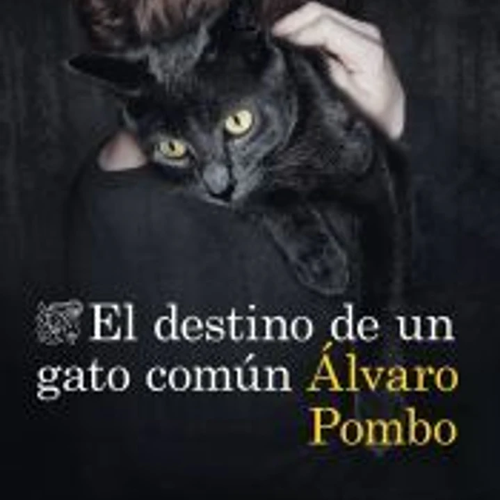 El destino de un gato común 1