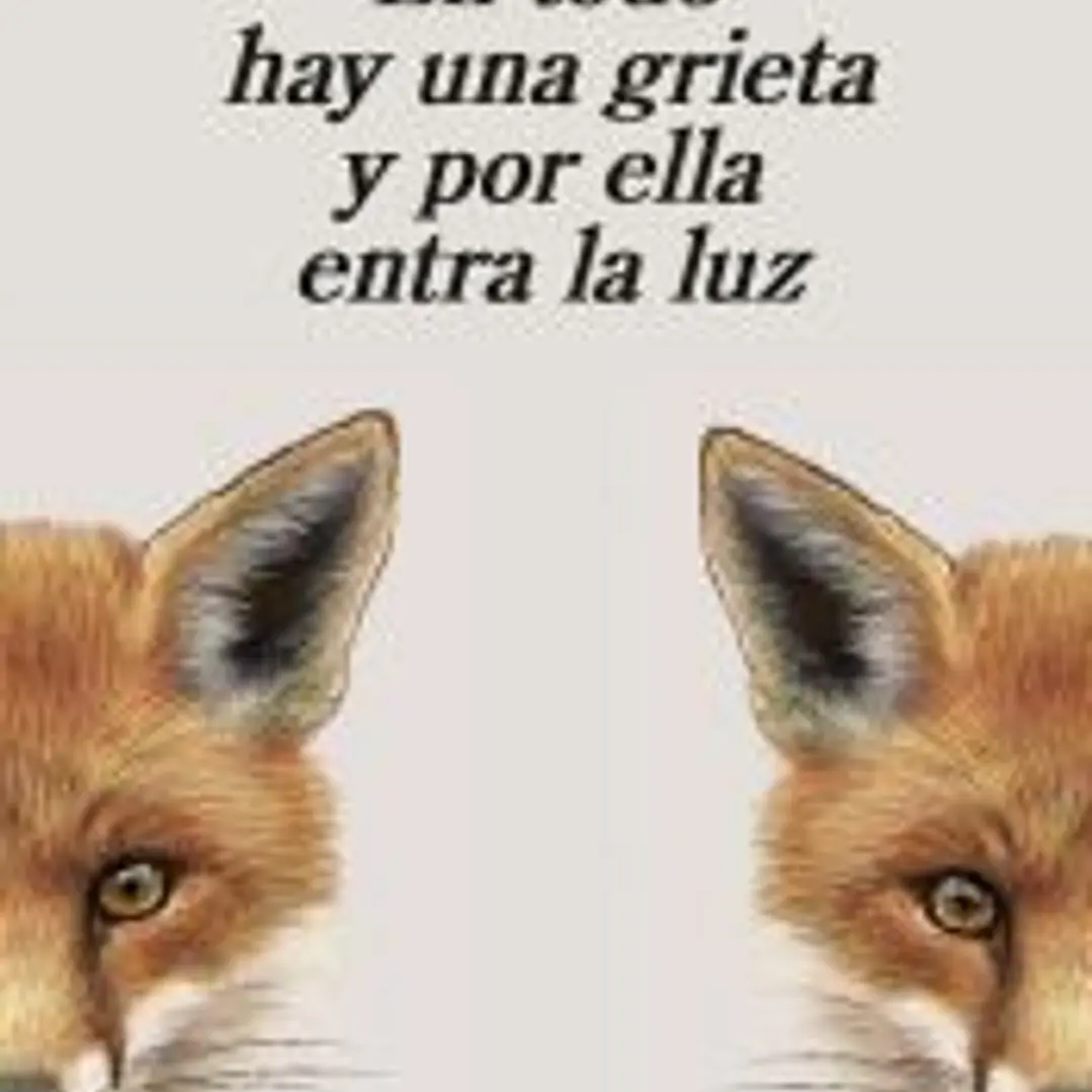 En todo hay una grieta y por ella entra la luz 1