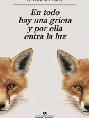 En todo hay una grieta y por ella entra la luz