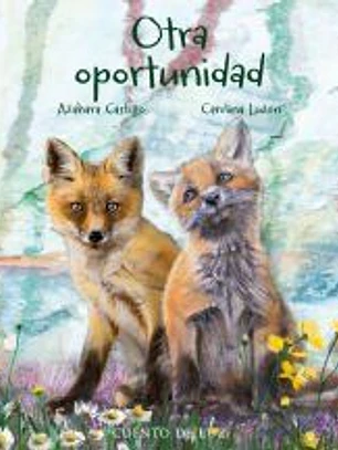 Otra oportunidad
