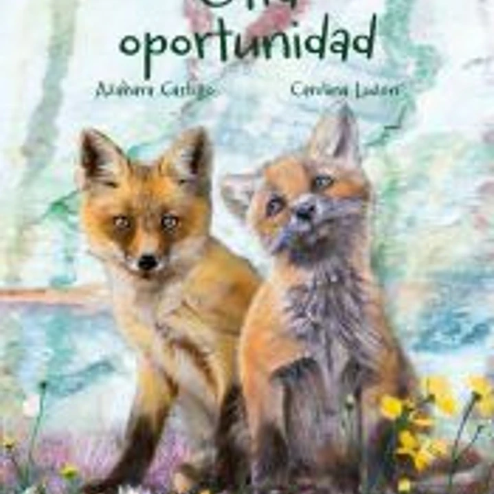 Otra oportunidad 1