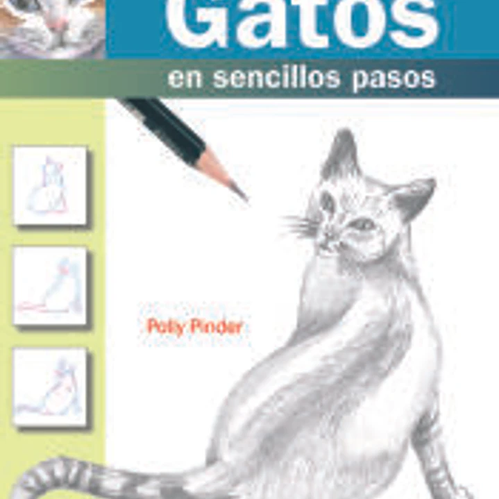 Cómo dibujar gatos en sencillos pasos 1