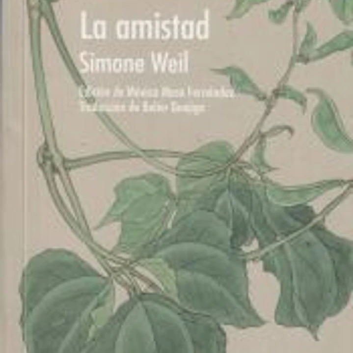 La amistad 1