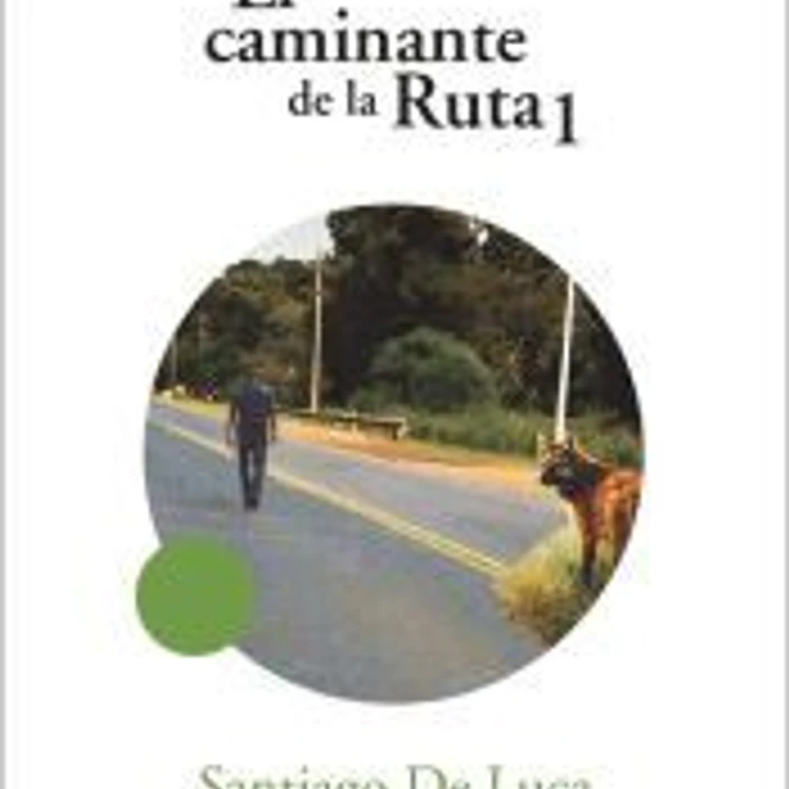 El caminante de la Ruta 1 1