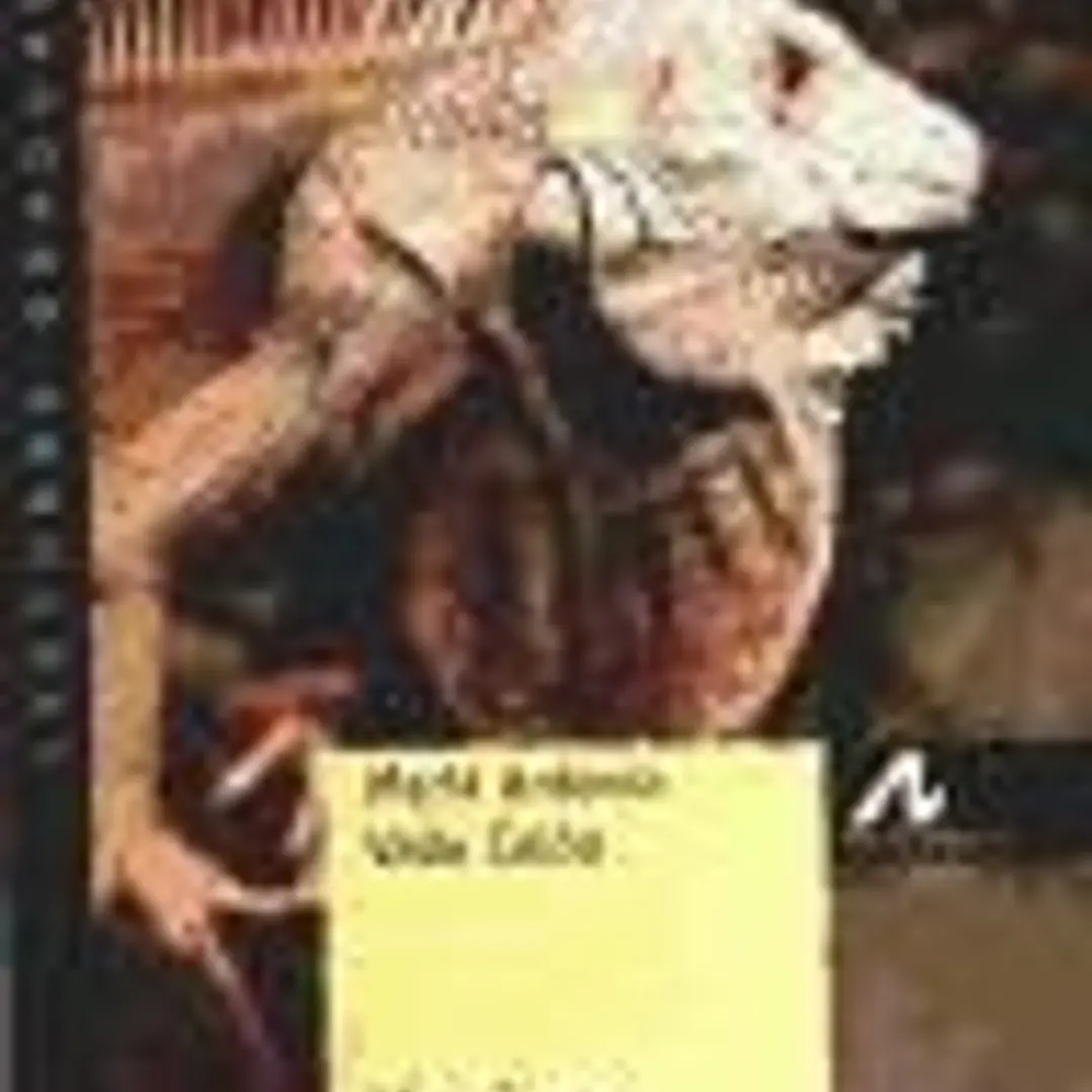 Vecinos (cuentos y recuentos) (Nivel 1) 1