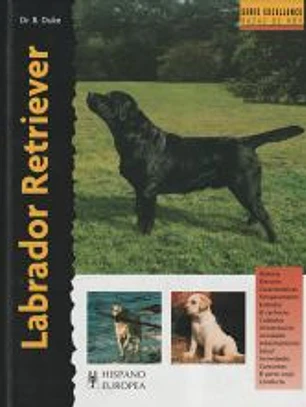 Labrador Retriever (Excellence)