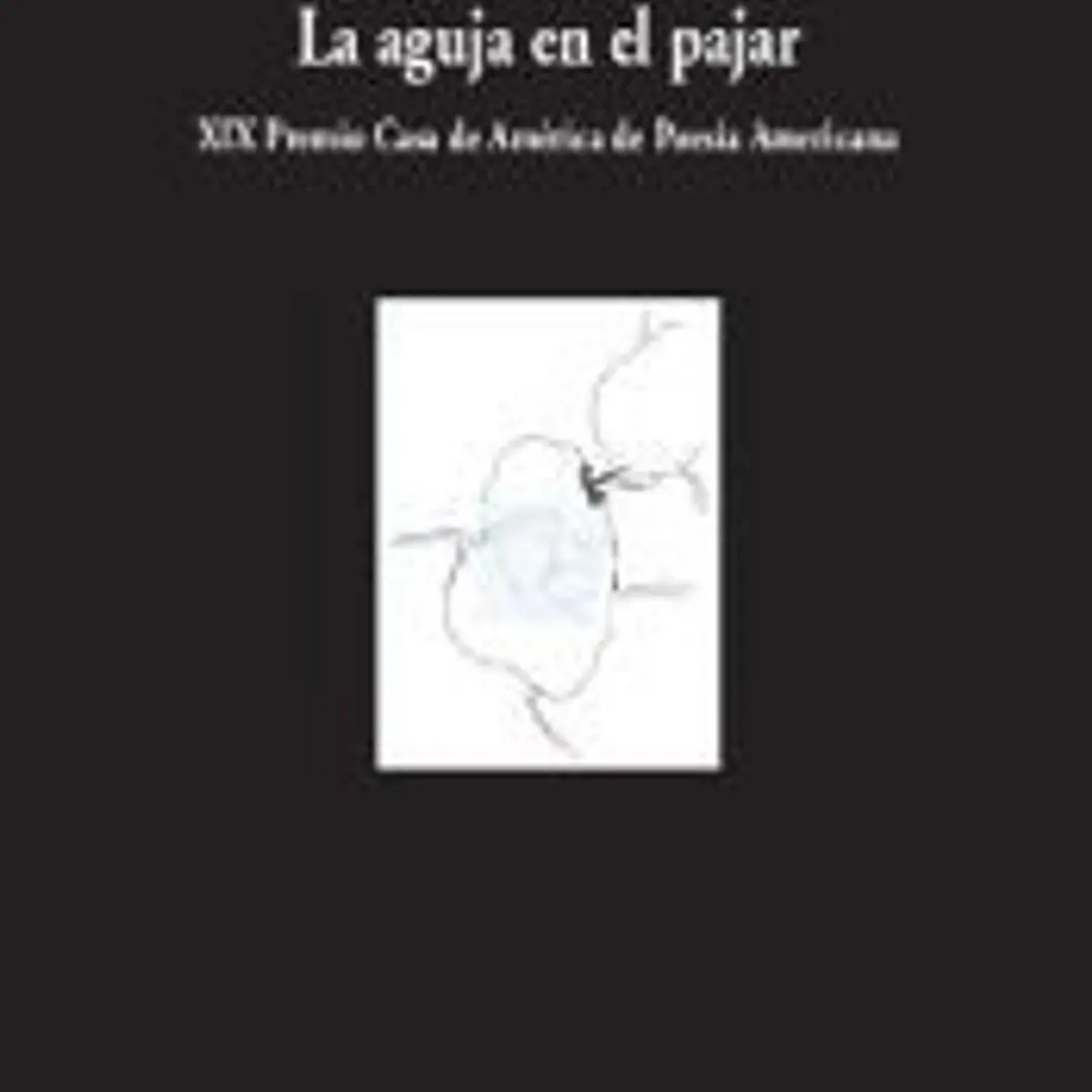 La aguja en el pajar 1