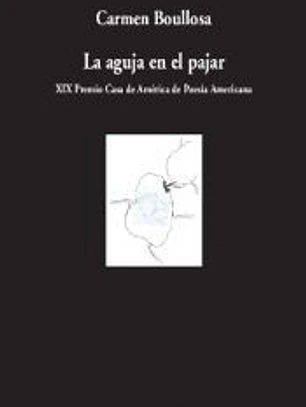 La aguja en el pajar
