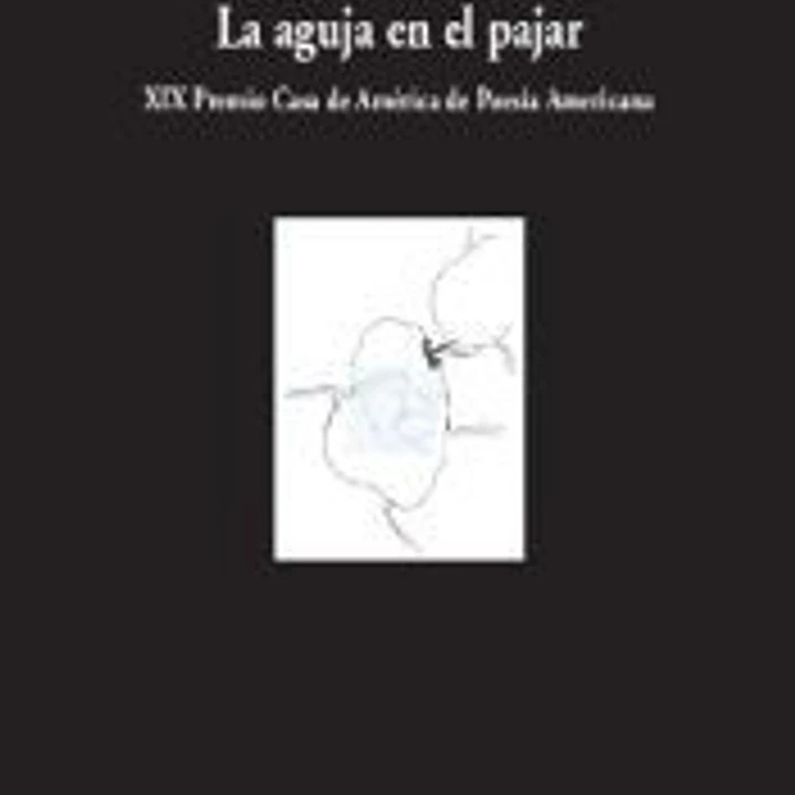 La aguja en el pajar 1