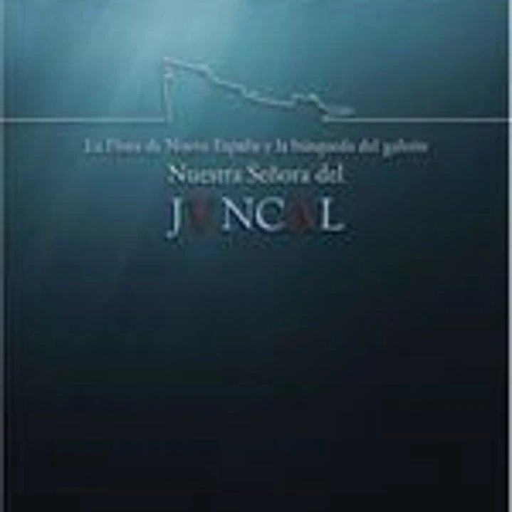 LA FLOTA DE NUEVA ESPA?A Y LA BUSQUEDA DEL GALEON NUESTRA SE?ORA DEL 1