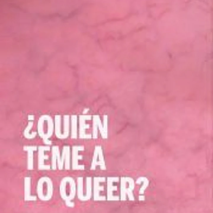 ¿Quién teme a lo queer? 1