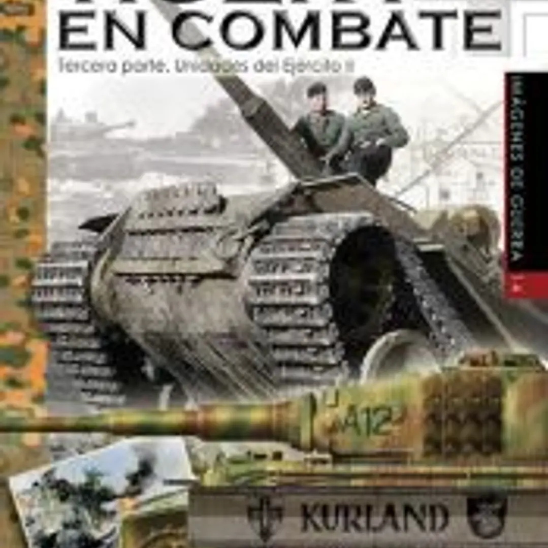 Tiger I en combate: Tercera Parte. Unidades del Ejército II 1
