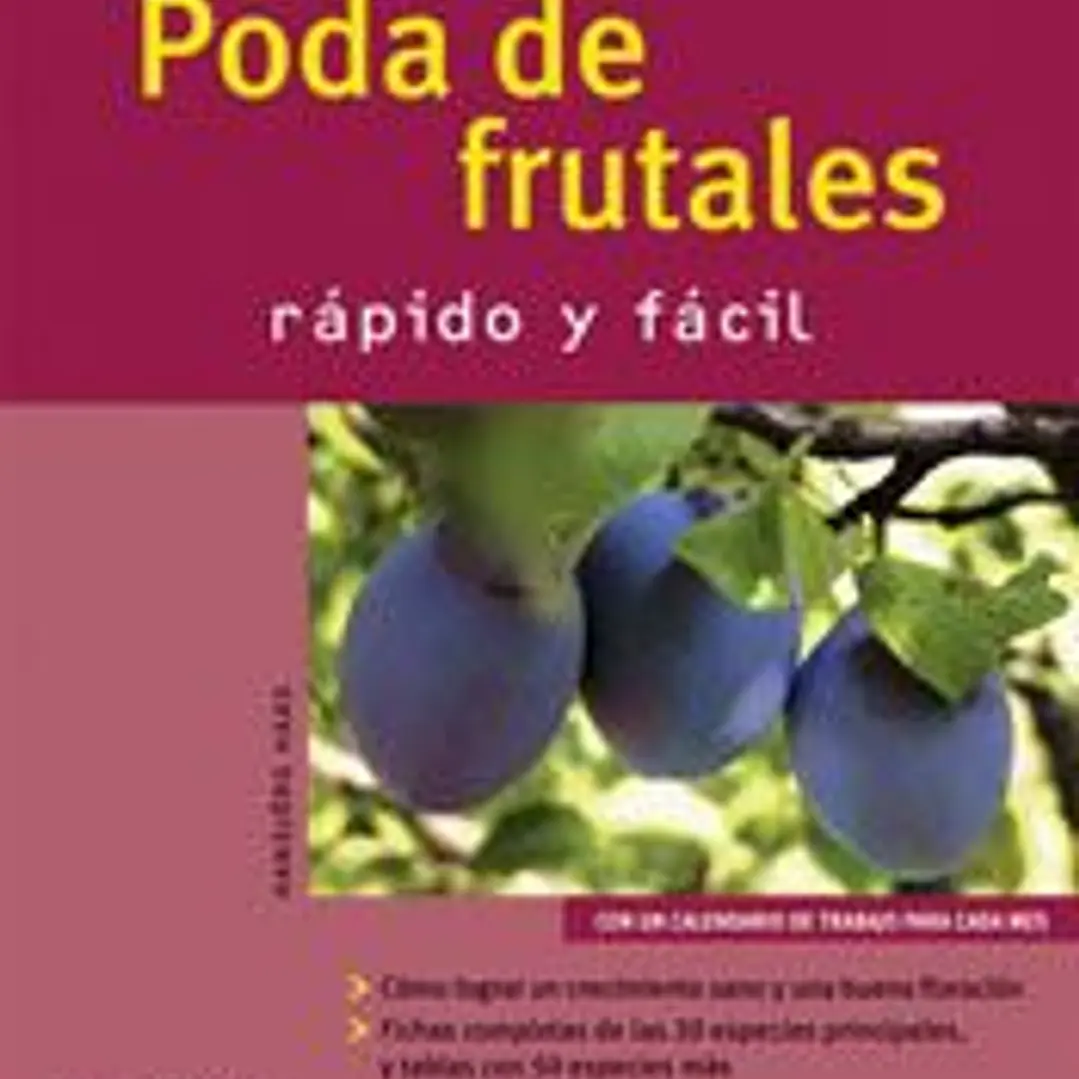 Poda de frutales (Jardín en casa) 1