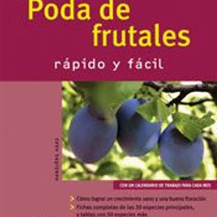Poda de frutales (Jardín en casa) 1