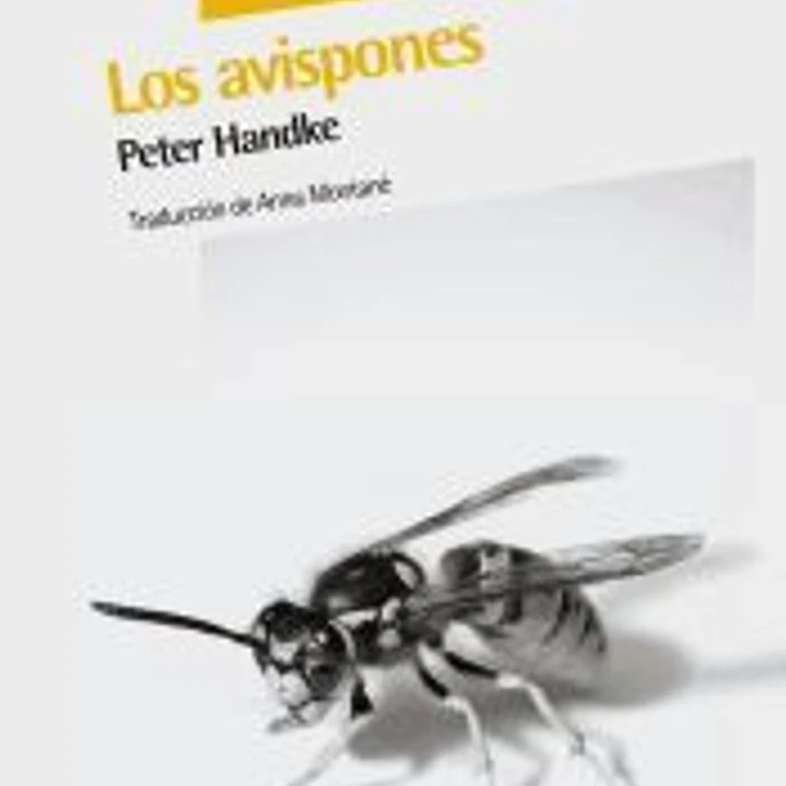Avispones, Los 1