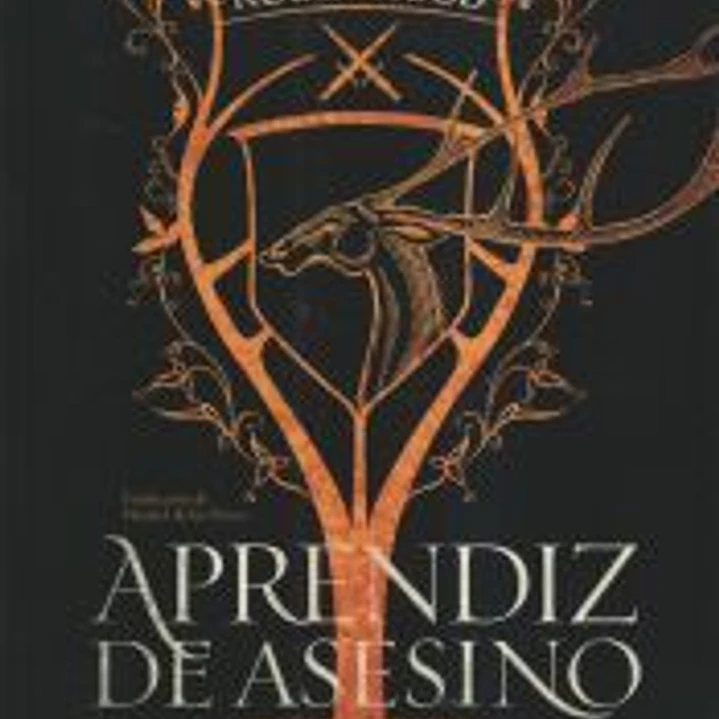 Aprendiz de asesino 1