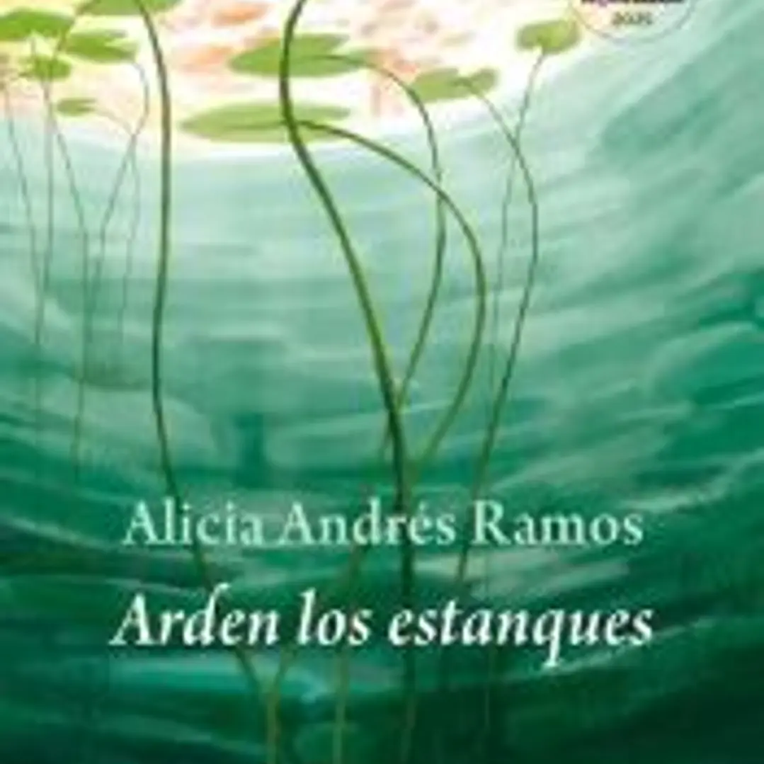 Arden los estanques 1