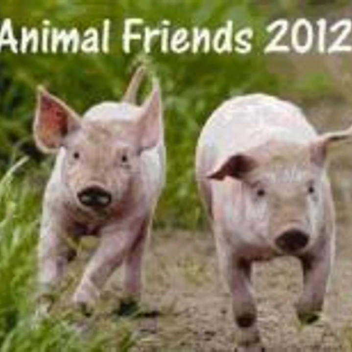 Calendario 2012. Animal Friends 1