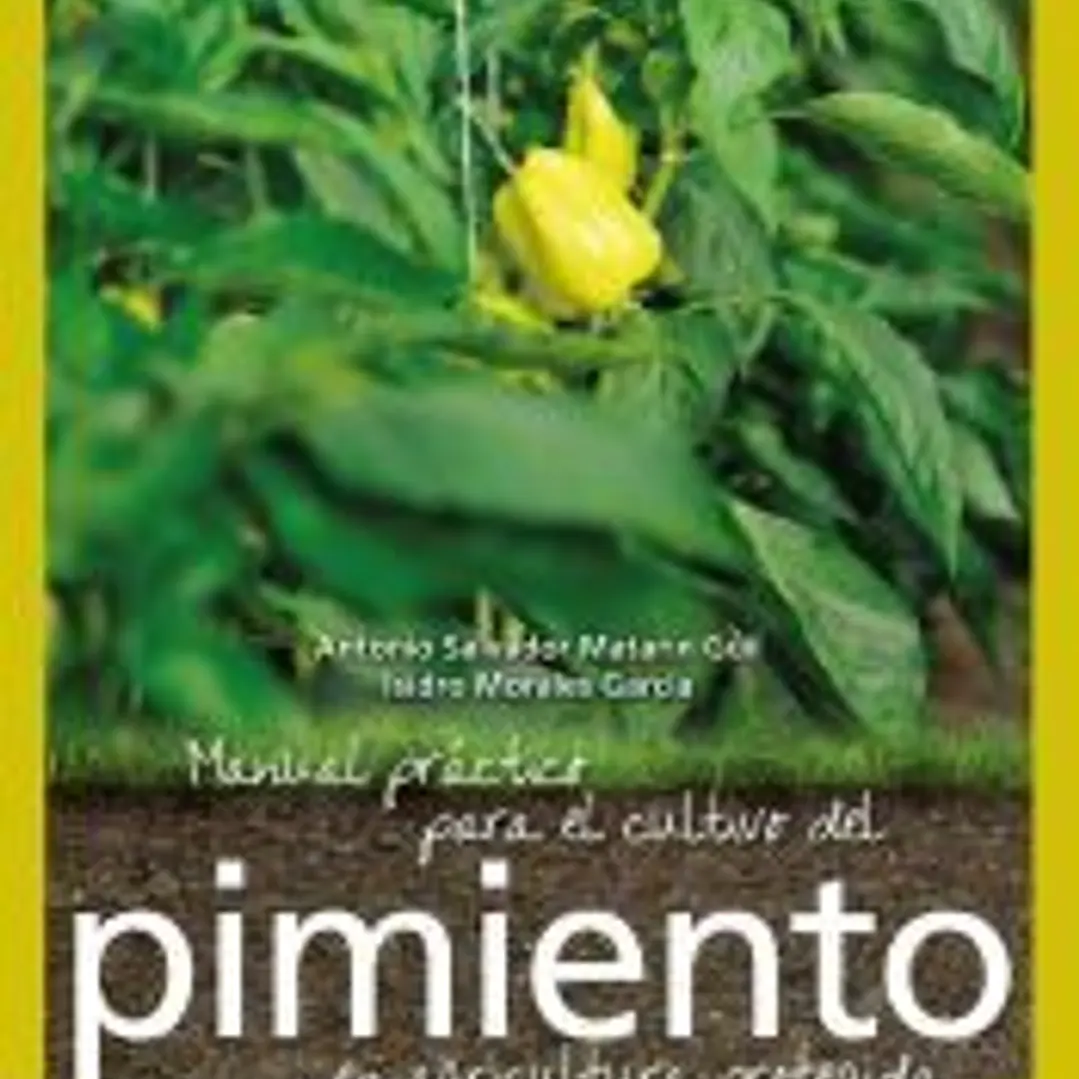 Manual práctico para el cultivo del pimiento en agricultura protegida 1