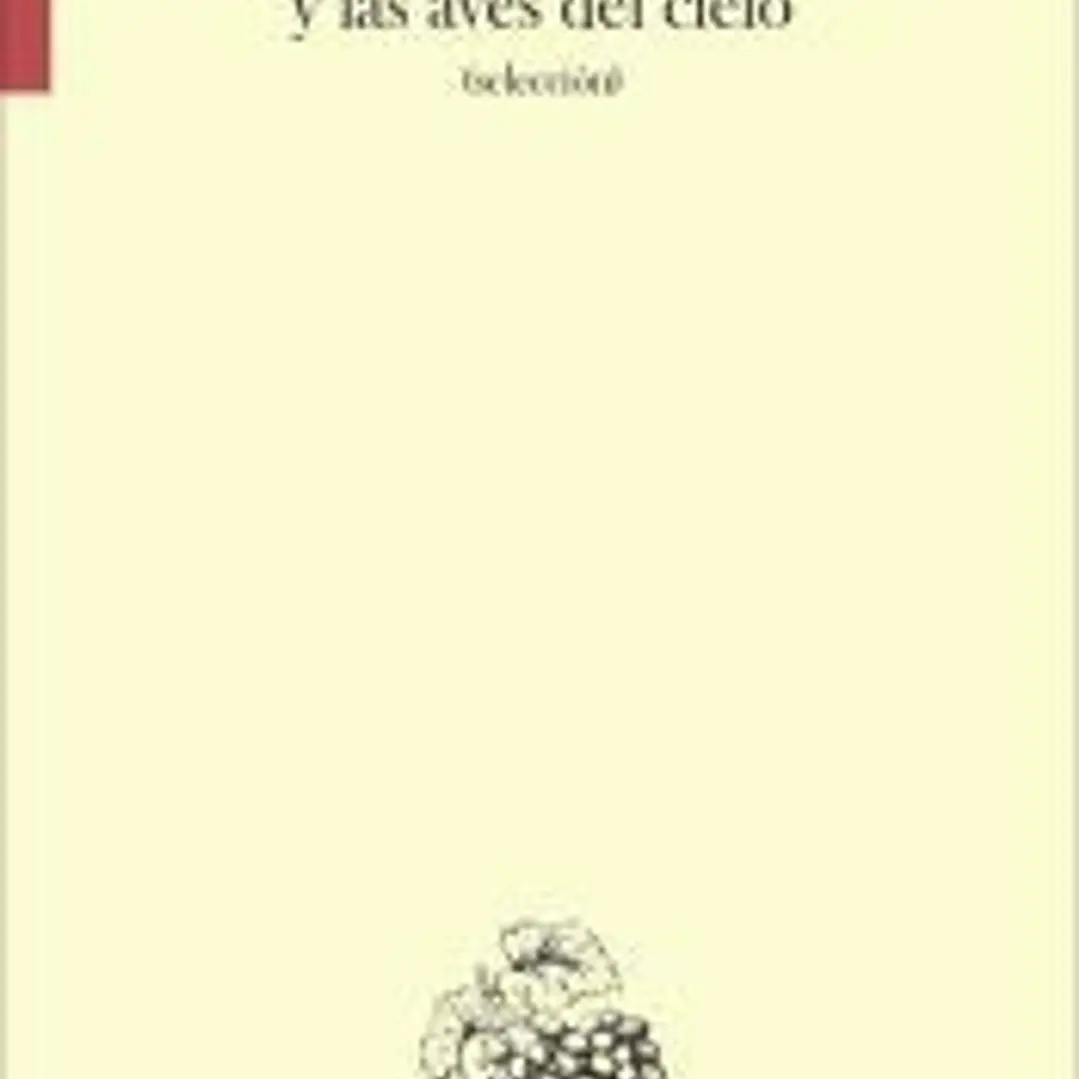 Los lirios del campo y las aves del cielo 1