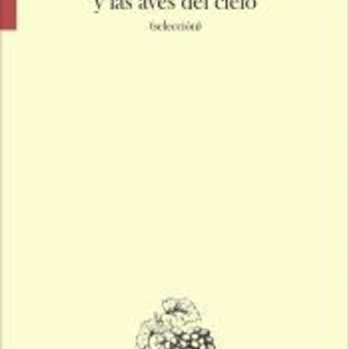 Los lirios del campo y las aves del cielo 1