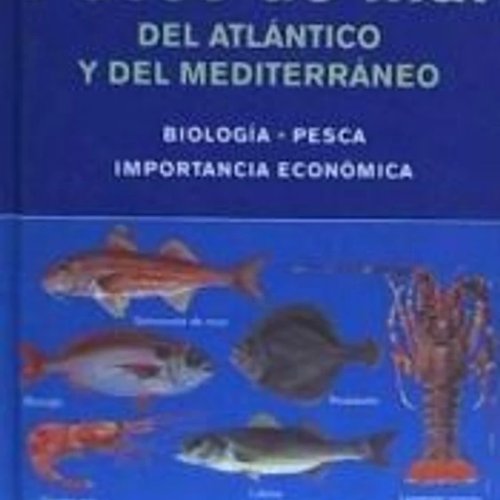 PECES DE MAR DEL ATLÁNTICO Y DEL MEDITERRÁNEO 1