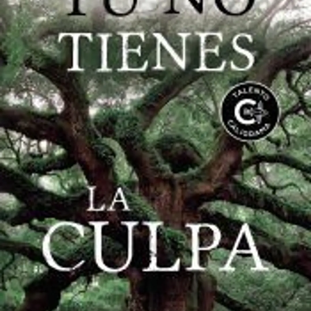 Tú no tienes la culpa 1