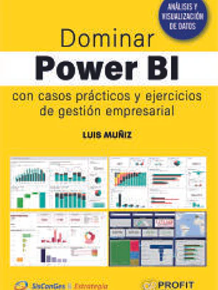 Dominar Power BI: Con casos prácticos y ejercicios de gestión empresarial