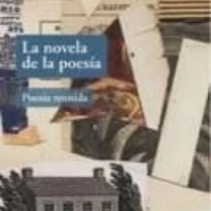 LA NOVELA DE LA POESÍA 1