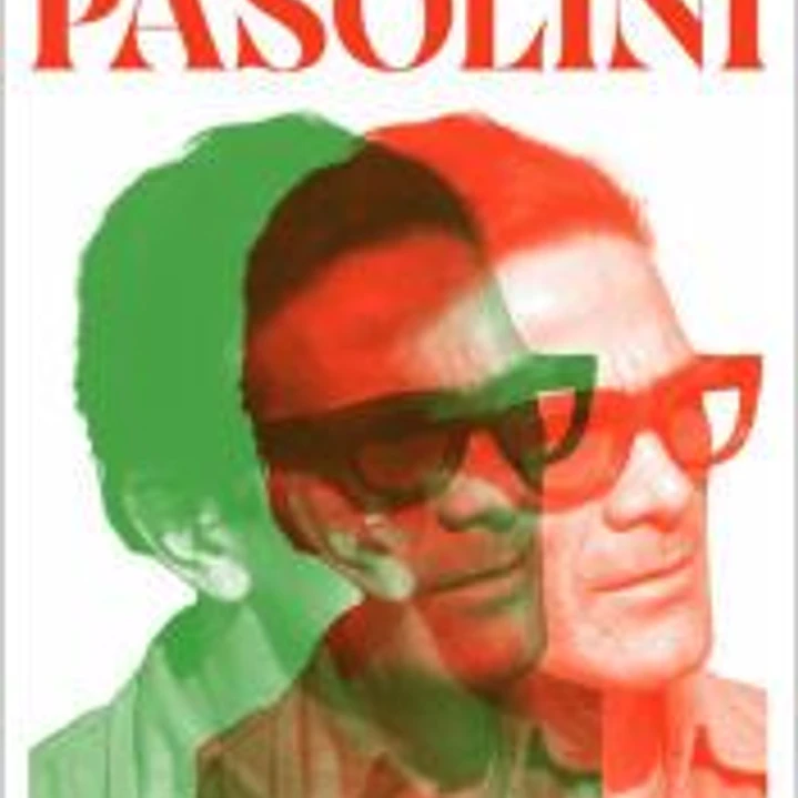 SIETE VIDAS DE PASOLINI,LAS 1
