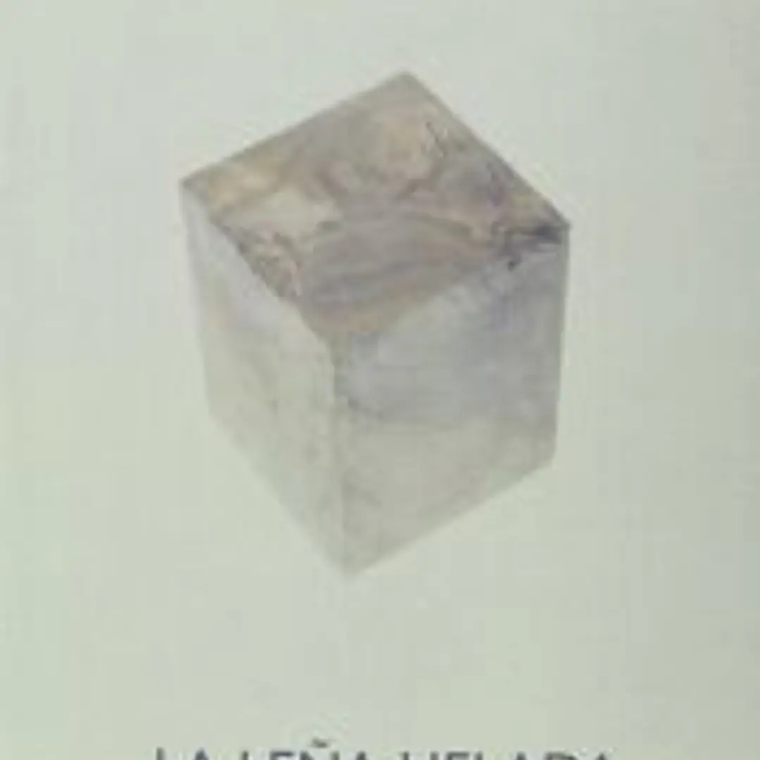 La leña helada 1