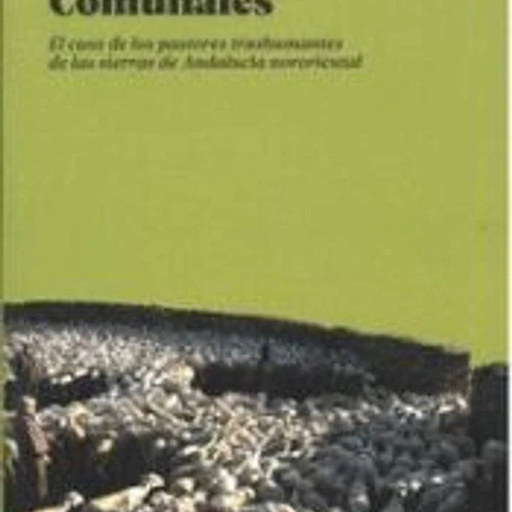 COMUNALES 1