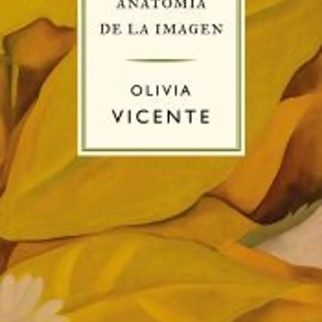 Anatomía de la imagen 1