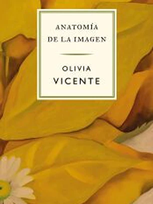 Anatomía de la imagen