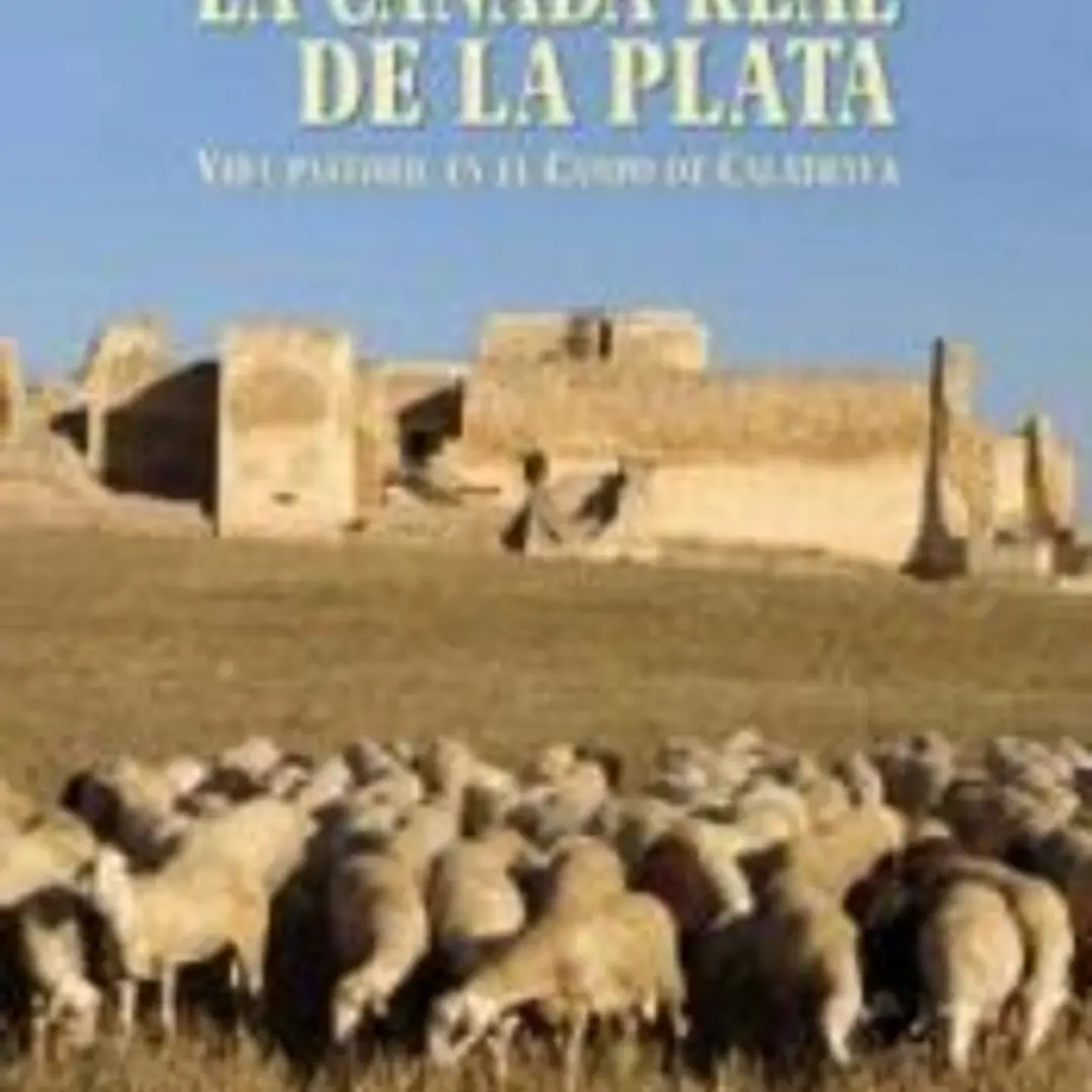 La Cañada Real de la Plata: Vida pastoril en el Campo de Calatrava 1