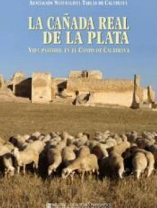 La Cañada Real de la Plata: Vida pastoril en el Campo de Calatrava
