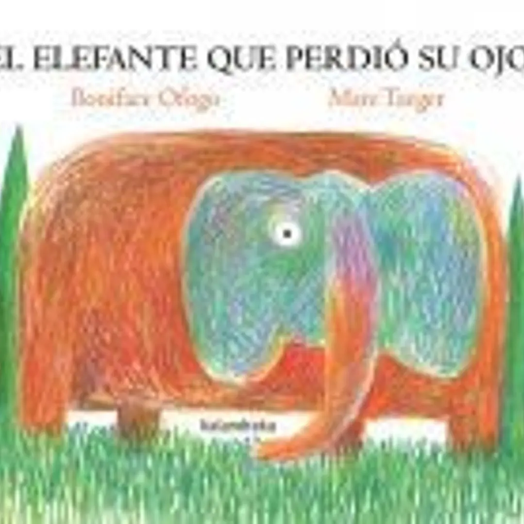 El elefante que perdió su ojo 1