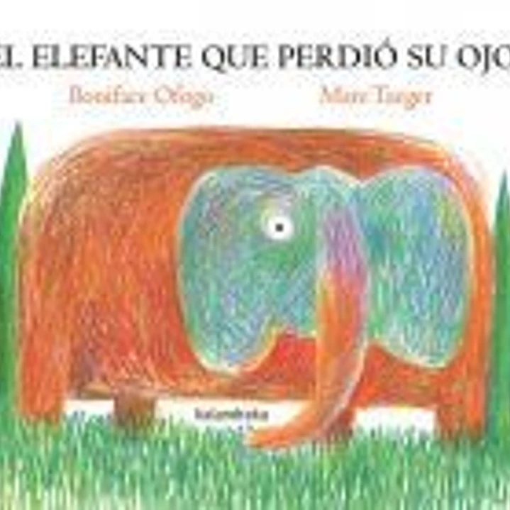 El elefante que perdió su ojo 1