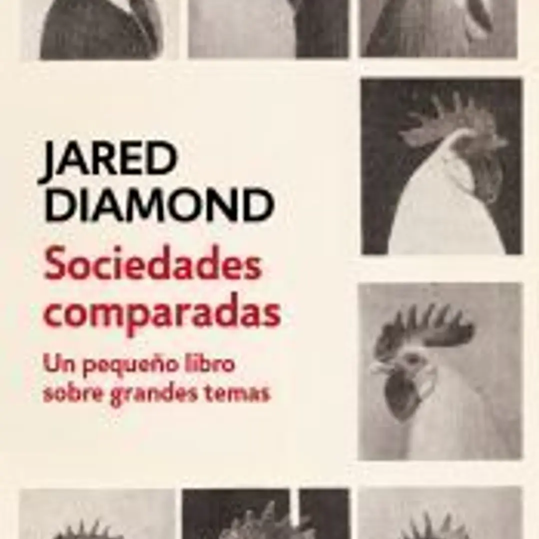 Sociedades comparadas 1
