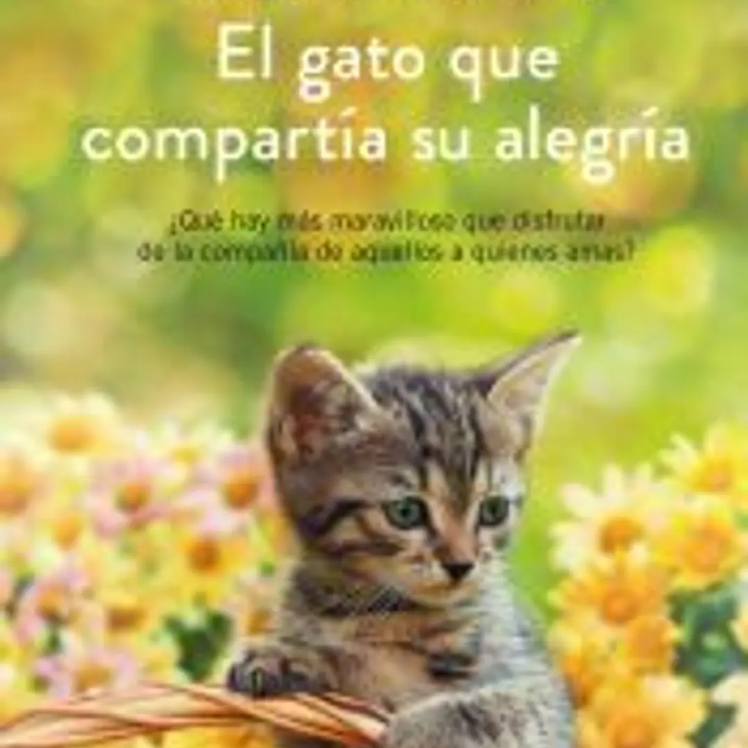 El gato que compartía su alegría 1