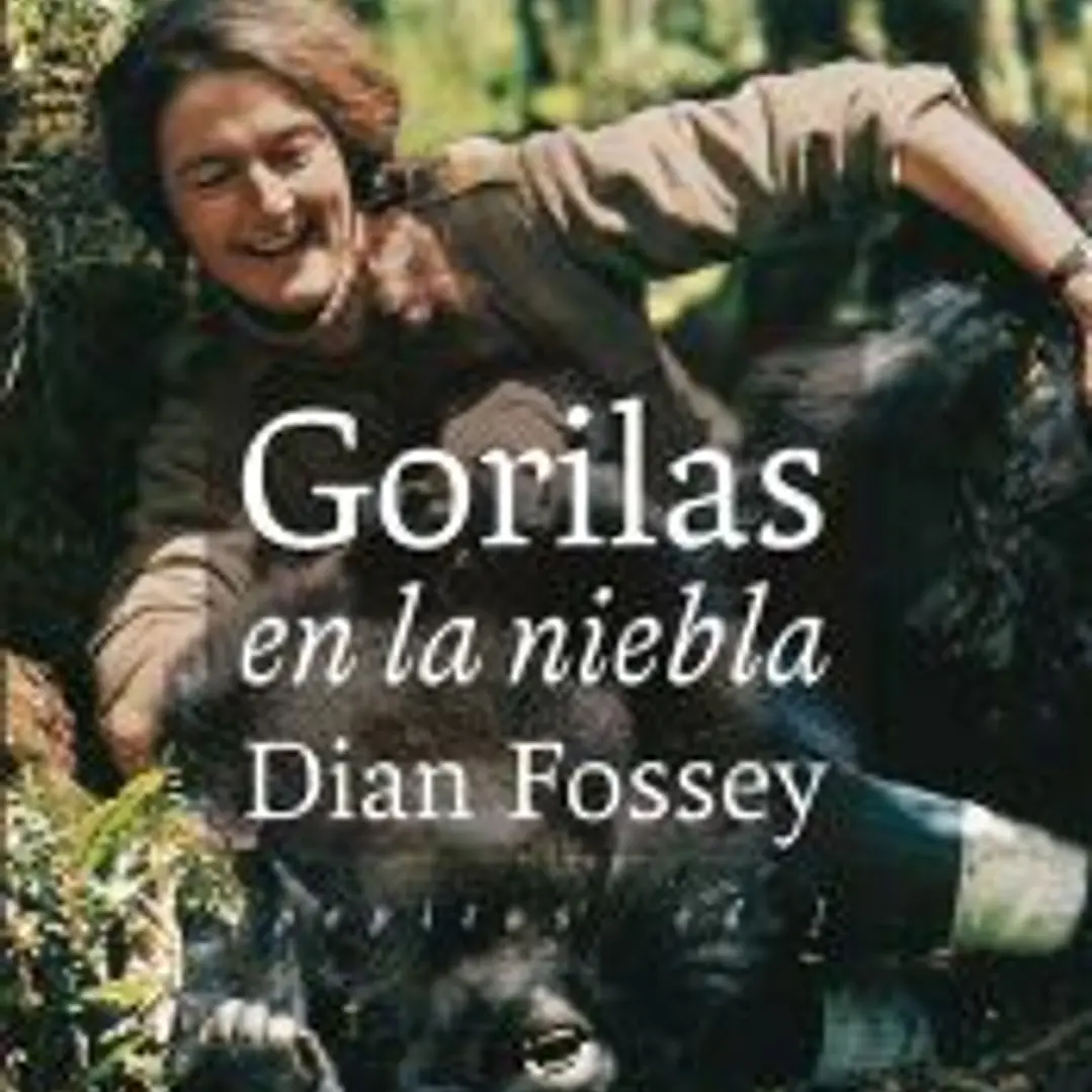 Gorilas en la niebla 1