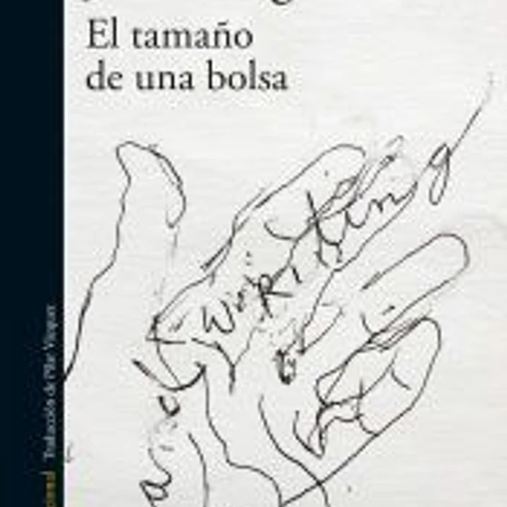 El tamaño de una bolsa 1