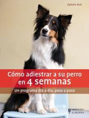 Cómo adiestrar a su perro en 4 semanas
