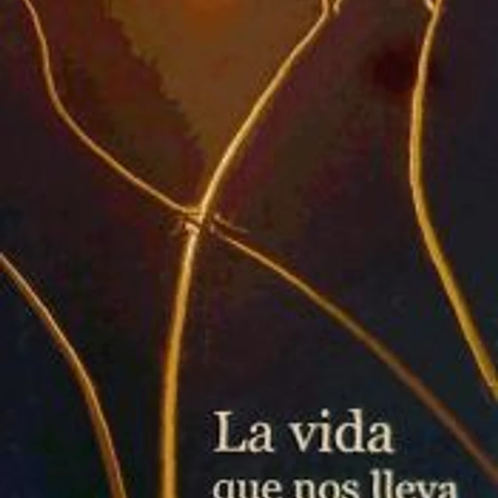 VIDA QUE NOS LLEVA, LA 1