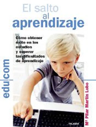 El salto al aprendizaje