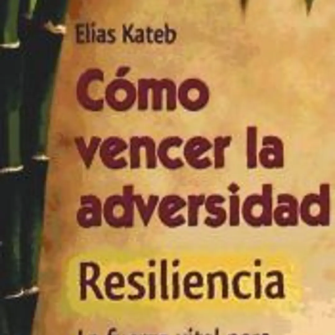 CÓMO VENCER LA ADVERSIDAD (RESILIENCIA). La fuerza vital para continual tu camino 1