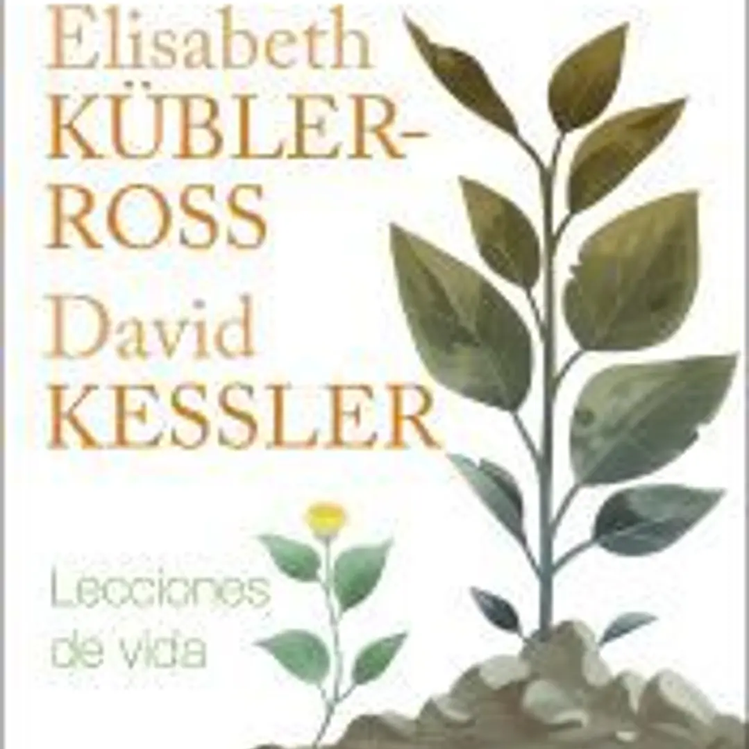 Lecciones de vida 1