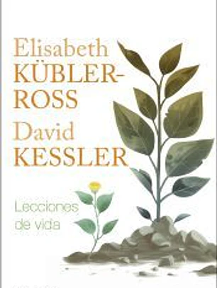Lecciones de vida